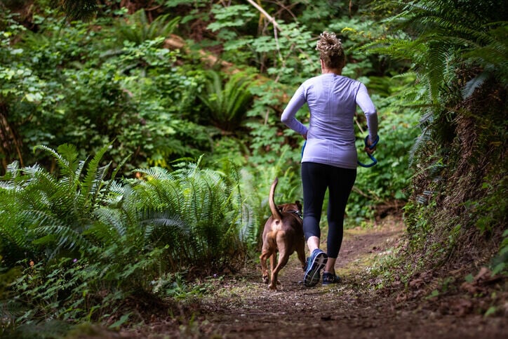 Hardlopen met hond welkoop
